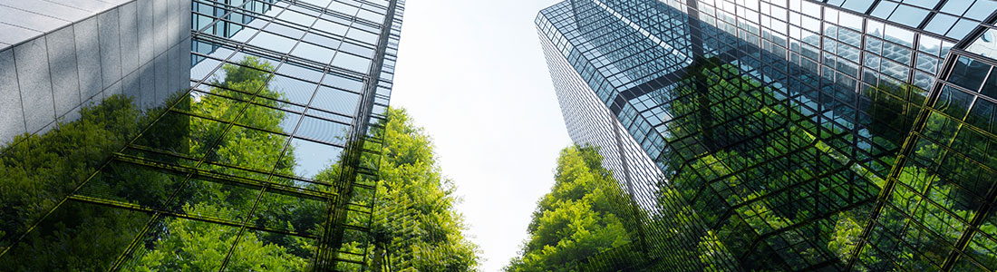 Sürdürülebilirlik Blog