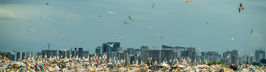 Plastik Kirliliği ve Sürdürülebilirlik: Mevcut Durum ve Gelecek Perspektifi