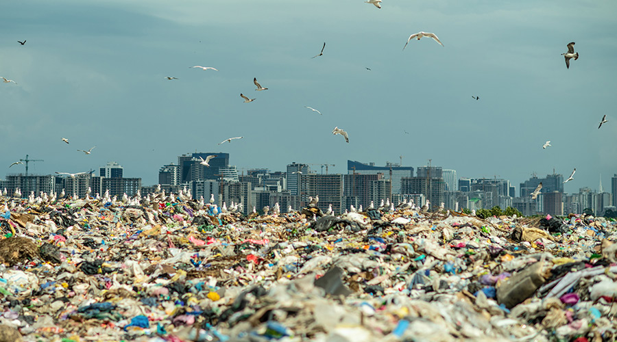 Plastik Kirliliği ve Sürdürülebilirlik: Mevcut Durum ve Gelecek Perspektifi
