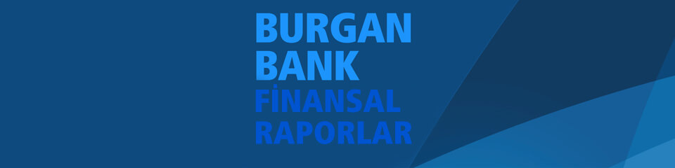 Finansal Raporlar